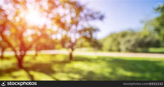 Park sunrise background. Park sunrise background. Summer abstract blur nature. Park sunrise background