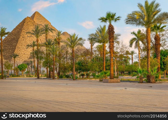 Park with palm trees and the great pyramids in Cairo, Egypt. Park and pyramids