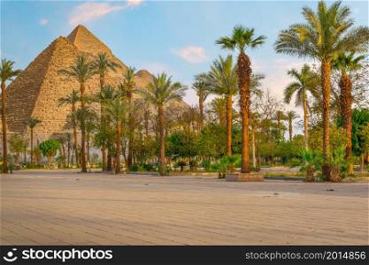 Park with palm trees and the great pyramids in Cairo, Egypt. Park and pyramids