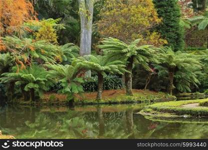 Park with palms and pool on Azores&#xA;