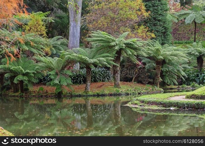 Park with palms and pool on Azores&#xA;