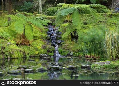Park with palms and waterfall on Azores&#xA;