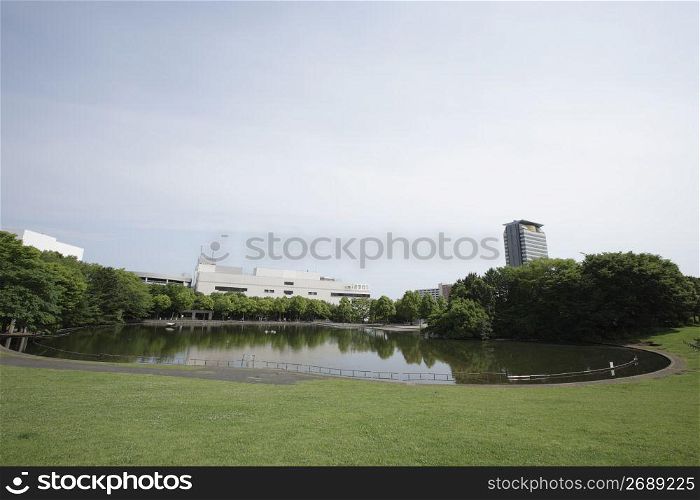 Park with pond and tower block