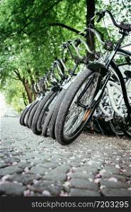 Parking bikes for rental in the city, tourism