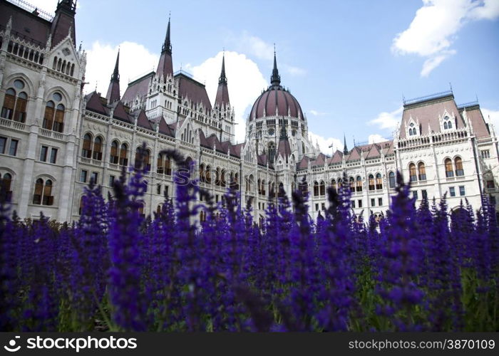 Parliament building in Budapest, natural colorful tone