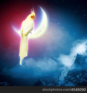 Parrot sitting on moon. Image of yellow parrot sitting on moon