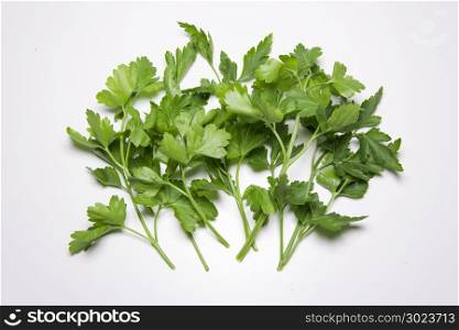 Parsley fresh green herb, food aromatic condiment