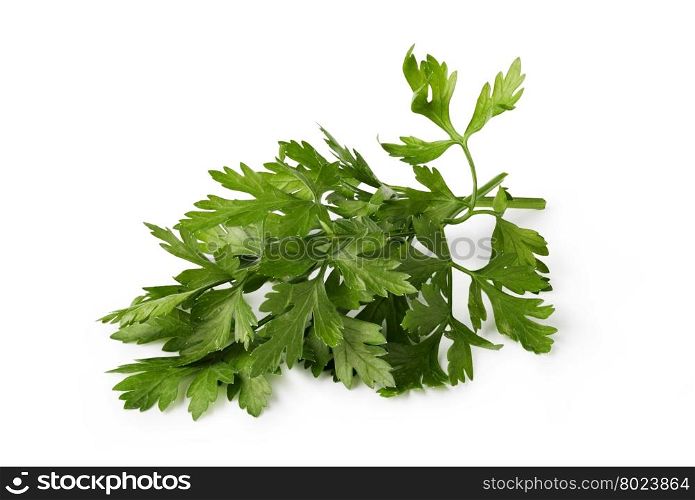 parsley. Fresh parsley isolated on white background
