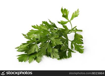 parsley. Fresh parsley isolated on white background