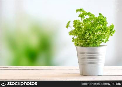 Parsley in a bucket on a wooden table