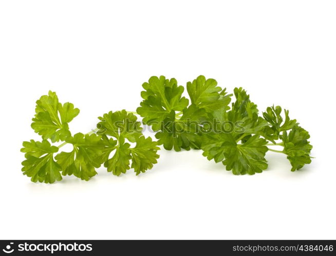 parsley isolated on white background