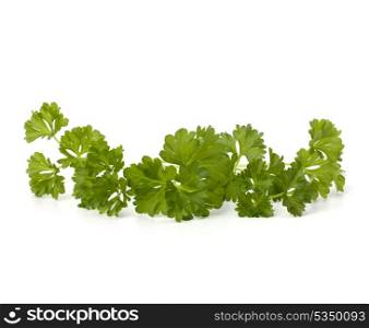 parsley isolated on white background