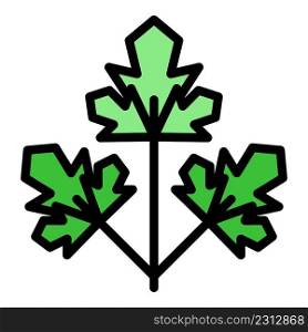 Parsley leaf icon. Outline parsley leaf vector icon color flat isolated. Parsley leaf icon color outline vector