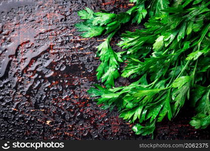 Parsley on a damp table. Against a dark background. High quality photo. Parsley on a damp table.