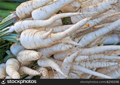 parsley root at a street sale. parsley root
