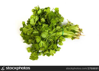 Parsley tied in a bunch with twine, isolated on white background