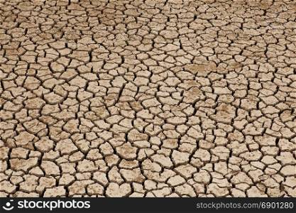 Part of a Huge Section of Dried Land Suffering from Drought