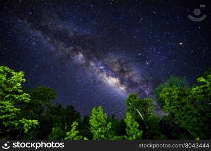 Part of a night sky with stars and Milky Way on equatorial latitude with green tropical trees below