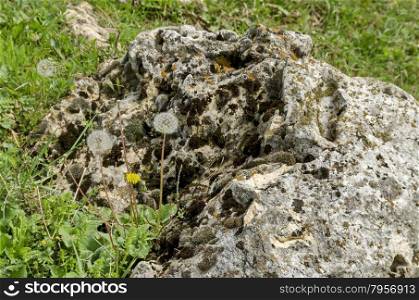 Part of authentic rockery in field, Ludogorie, Bulgaria