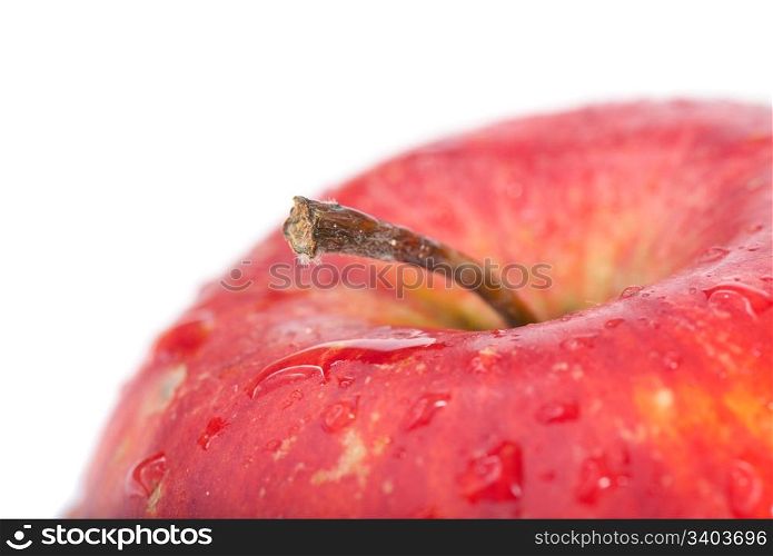 Part of big wet red apple (closeup with stem)