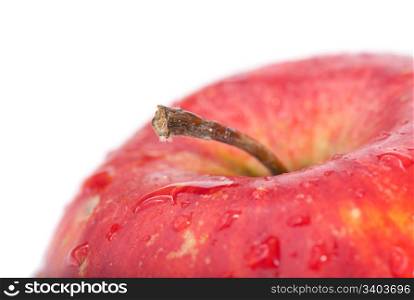 Part of big wet red apple (closeup with stem)