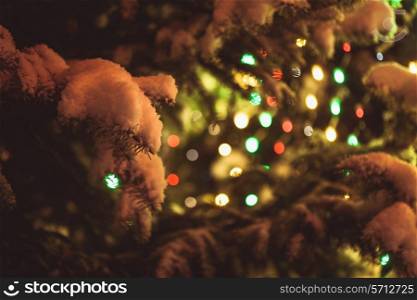 Part of christmas fir-tree under the snow outdoors with lights