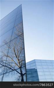 part of facades of geometrically shaped modern glass building with reflections of blue sky and tree