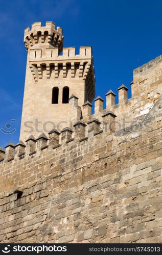 Part of Mallorca cathedral, in Palma de Mallorca, Spain