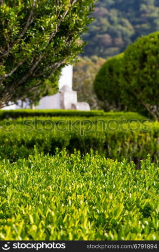 part of park with bushes and trees and wall building on background