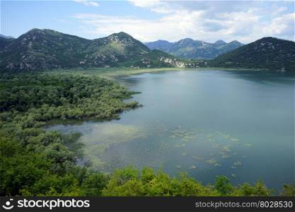 Part of Skadarsko lake in Montenegro