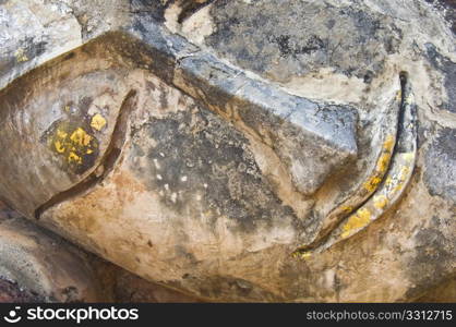 part of the ruin of the temple Wat Phra Kaeo in Kamphaeng Phet