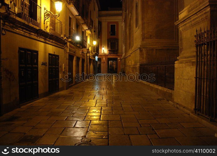 Pasiegas square and Cathedral, Granada, Andalusia, Spain,