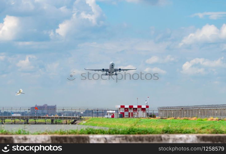 Passenger plane takes off at airport with beautiful blue sky and white fluffy clouds. Leaving flight above airport wire fence. Freedom concept. White birds flying under airplane at the airport.
