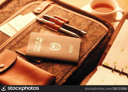 Passport and fountain pens