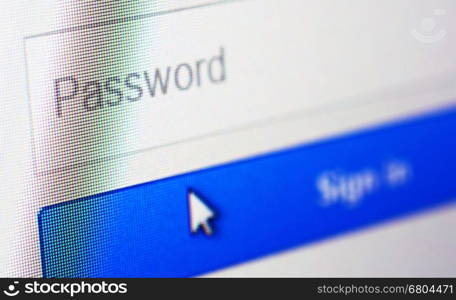 Password blank form and arrow cursor at login screen on the web site.