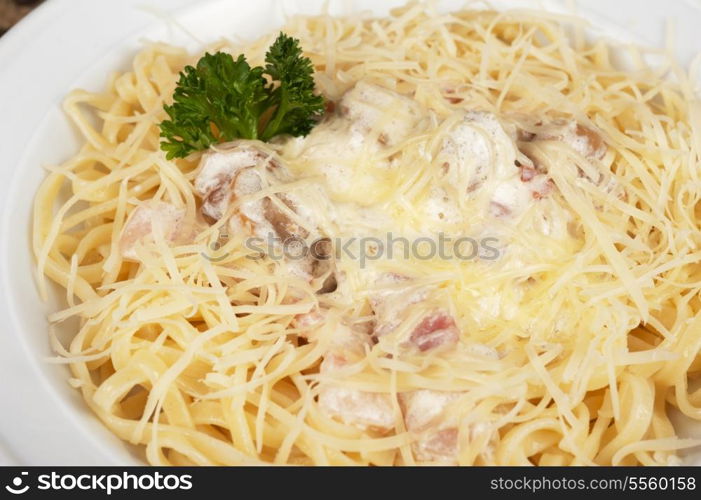 Pasta carbonara closeup dish, a typical italian dish