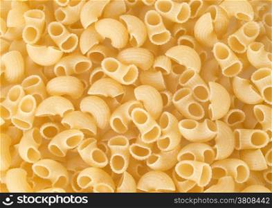 pasta shells in front of white background