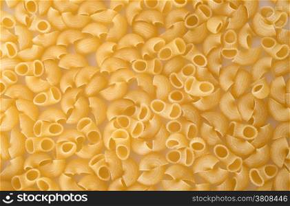 pasta shells in front of white background