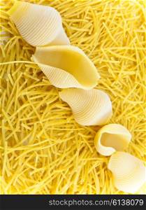 pasta vermicelli and shell