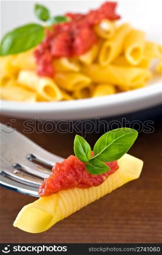 Pasta with tomato sauce basil - Garganelli al pomodoro e basilico
