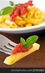 Pasta with tomato sauce basil - Garganelli al pomodoro e basilico