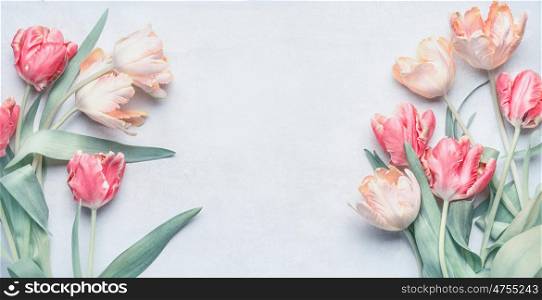 Pastel color tulips bunch for springtime holidays , greeting card mock up, spring nature background