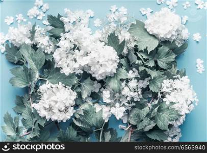 Pastel flowers blooming on blue background