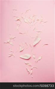 Pastel pink background with white rose petals, top view, flat lay