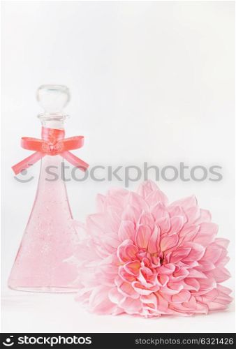 Pastel pink cosmetic product with flower on white background, front view. Layout for skin care, wellness or spa and beauty concept