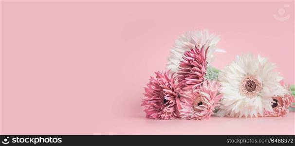 Pastel pink floral banner or template background with aster, Gerbera and daisies flowers bunch