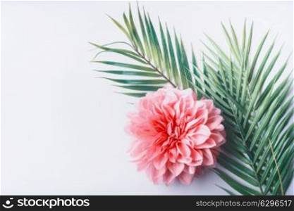 Pastel pink flower and tropical palm leaves on white desktop background, top view, creative layout with copy space, border