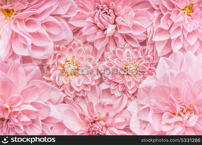 Pastel pink flowers background, top view, Layout or greeting card for Mothers day, wedding or happy event