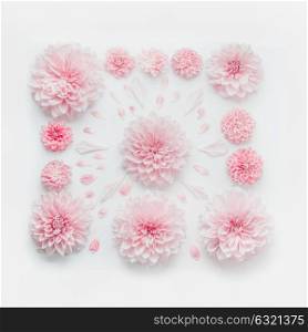 Pastel pink flowers composition on white desk background, top view, flat lay. Floral layout for holidays greeting of Mothers day, birthday, wedding or happy event