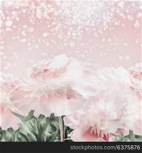 Pastel pink peonies floral background with bokeh. Layout or greeting card for Mothers day, wedding or happy event